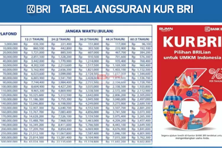 Brosur KUR BRI 2024 Terbaru, Pinjaman Rp 100 Juta Tabel Angsuran Kredit ...