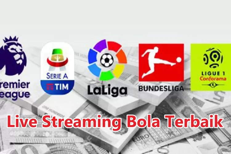 Menikmati Pertandingan Bola Favorit dengan Menonton TV Online