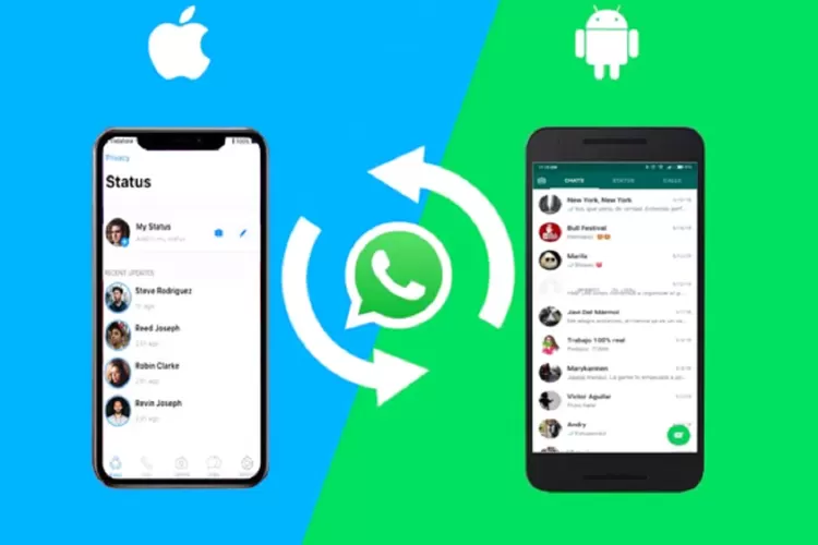 Cara Paling Mudah Backup Chat WhatsApp di iPhone dan Android agar Data Tetap Aman Saat Ganti HP (Dok. IST)