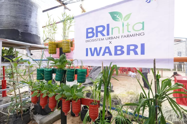 BRInita, inisiatif CSR BRI, membawa kehidupan ke lahan kota. Dukungan BRI Peduli untuk lingkungan, ekonomi, dan sosial merangsang pertumbuhan berkelanjutan. (Dok. BRI)