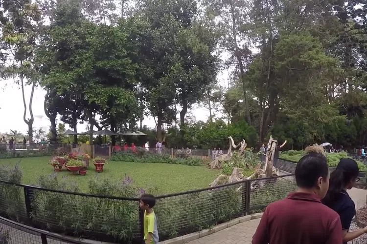 Farm house bandung / Tangkapan layar yt @edbert xu