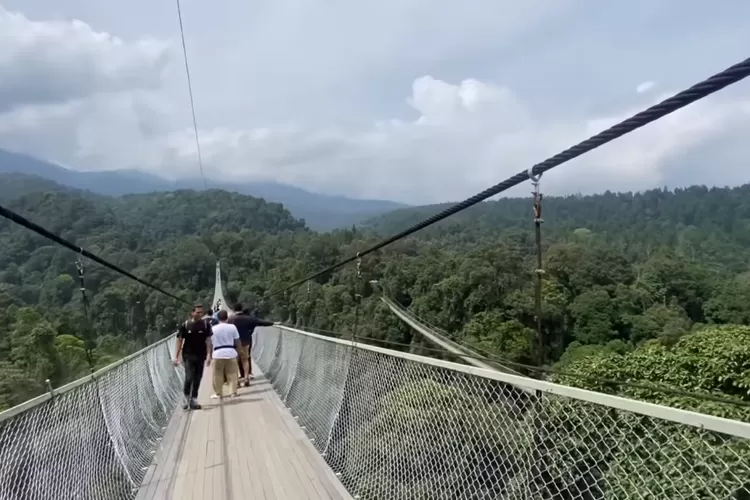 Jembatan Gantung Situ Gunung: Tempat Wisata Di Sukabumi Yang Wajib ...