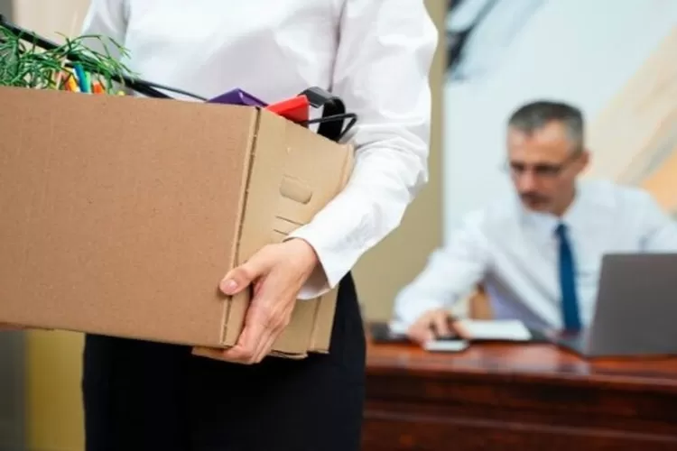 Dampak MBG disebut jadi penyebab terjadinya PHK di berbagai instansi