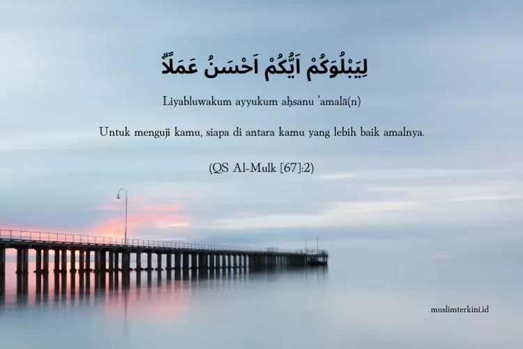 Jarang Yang Tahu, Inilah Sejumlah Keutamaan Al Quran Surat Al Mulk ...