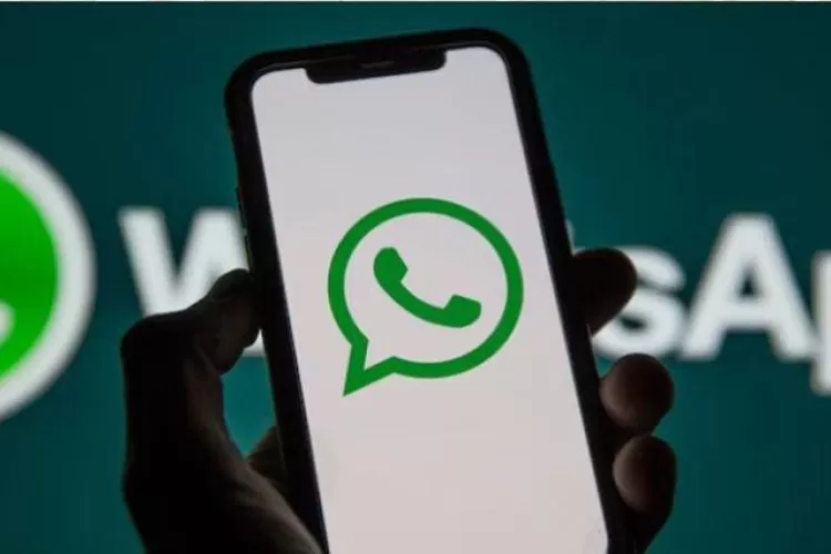 Inilah Tanda-tanda WhatsApp Telah Dibajak Yang Wajib Kamu Ketahui - Okeguys