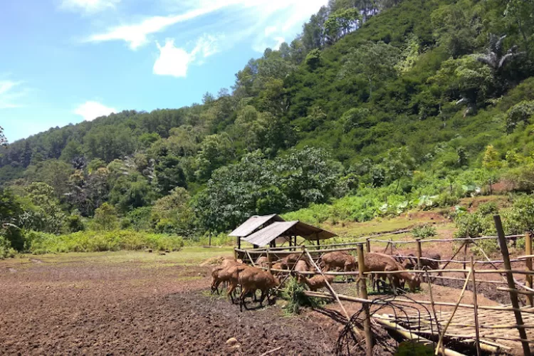 5 Rekomendasi Tempat Wisata Edukasi Di Bandung Yang Perlu Dikunjungi ...