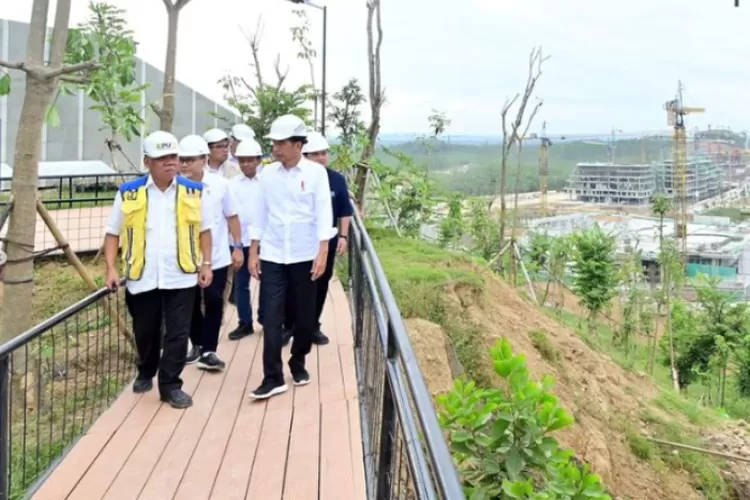 Presiden Jokowi Minta Masyarakat Berkunjung Ke IKN Untuk Lihat ...