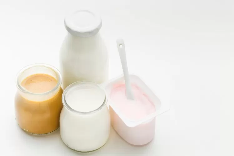 Yogurt untuk Diet, Cara Mengintegrasikan Makanan Tinggi Protein dan  Probiotik Ini kedalam Program Penurunan BB - Dicintai