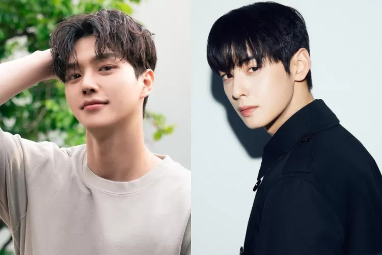 Song Kang atau Cha Eun Woo Akting dan Visual Tampannya Justru