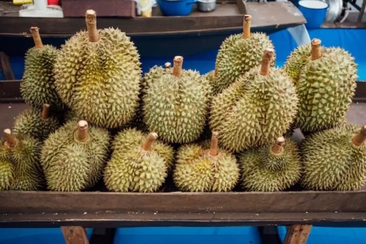 Memperkenalkan Bukit Durian Sagara Agro Wisata (Jcomp via freepik.com)