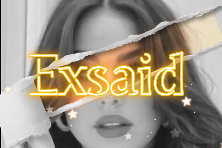 Exsaid  Bahasa Gaul di Medsos, Apa Artinya  (busurnusa.com)