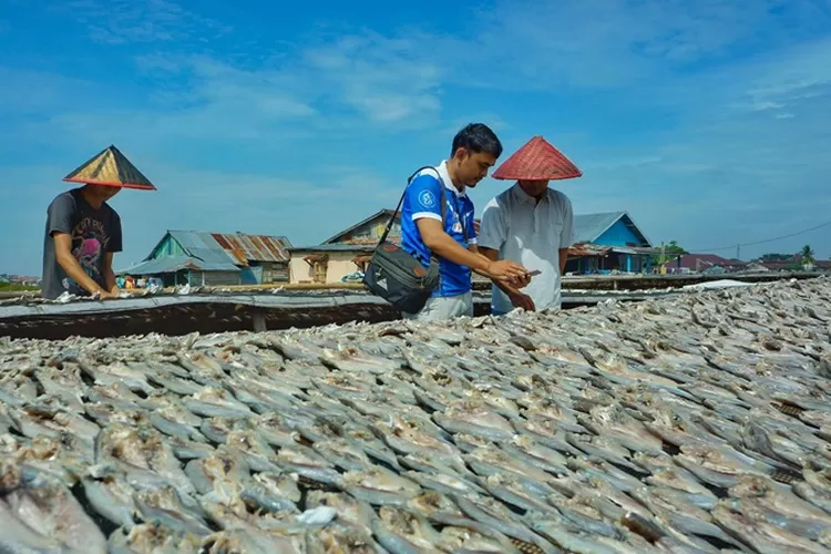 BRI Targetkan Penyaluran KUR Rp165 Triliun Rampung Pada September 2024 ...