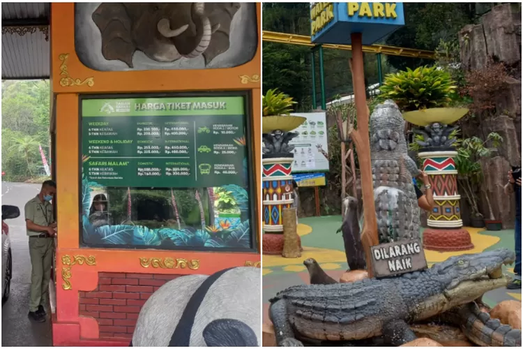 Mau Liburan Ke Taman Safari Bogor Cek Update Harga Tiket Masuknya