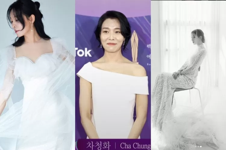 Happy Wedding Artis Korea Selatan Cha Chung Hwa Hari Ini Resmi