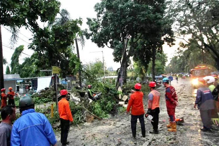 Hujan Dan Angin Kencang Kembali Melanda Bogor, Tiang Listrik Hingga ...