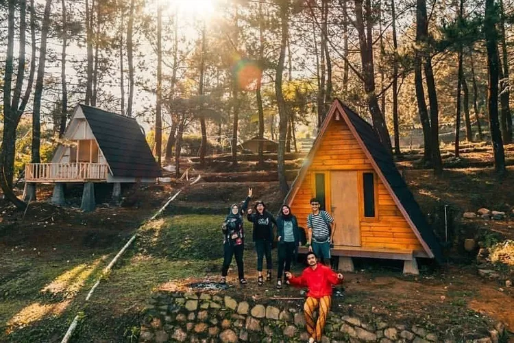 Bukit Pinus Paseban, Puncak, Bogor. (Sumber: Instagram @bogorinfo)