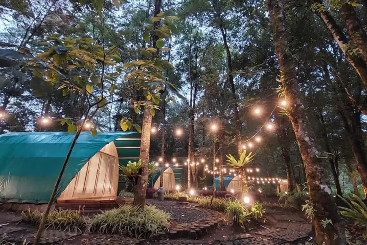 Rekomendasi 5 Tempat Glamping di Tengah Hutan Bandung, Cocok Untuk Healing Bareng Bestie Atau Keluarga