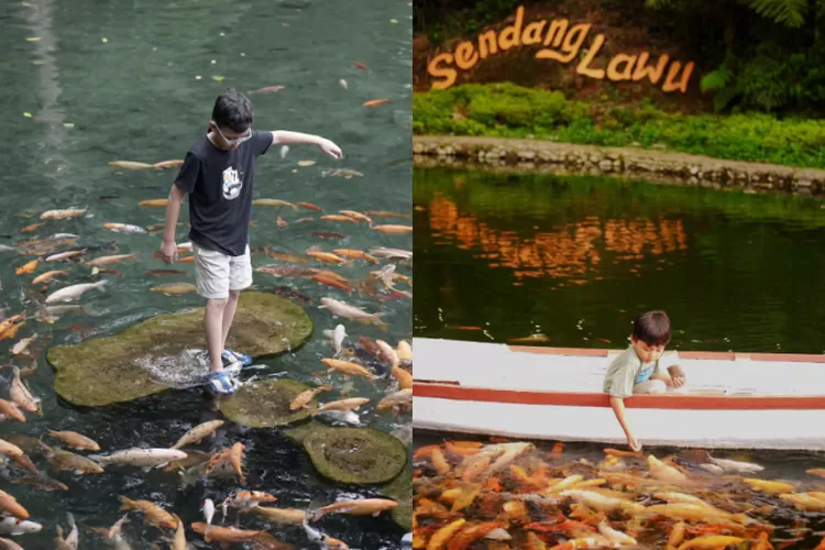 Destinasi Wisata Hidden Cafe Sendang Lawu Karanganyar (@sendang.lawu)