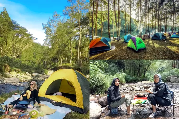 Yuk Camping Seru Bersama Keluarga Di Bedengan Malang Dikelilingi Oleh