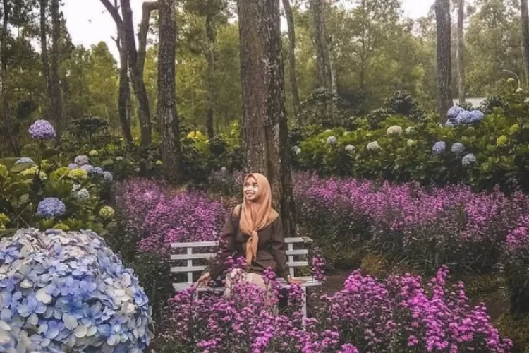 Coban Talun, tempat wisata di Batu Malang. (Sumber: Instagram @wisatajatim.id)