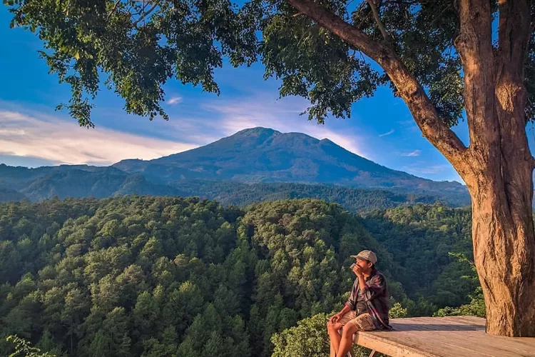 Destinasi Wista Gunung Ciwaru di Majalengka Viewnya Hutan Pinus (Instagram)
