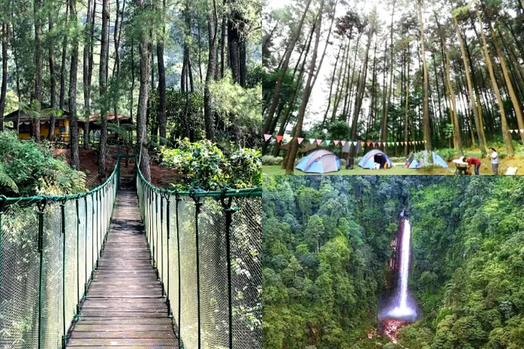 Bukan Hanya Puncak! Ini Rekomendasi Tempat Wisata Di Bogor Selain Di ...