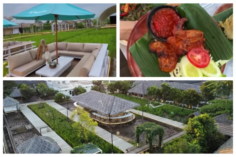 Restoran D'Sawah Resto di Dramaga, Bogor (Traveloka.com)