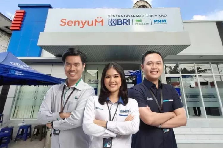 Pencapaian Holding Ultra Mikro BRI Group di 3 Tahun Perjalanannya (Dok/BRI)