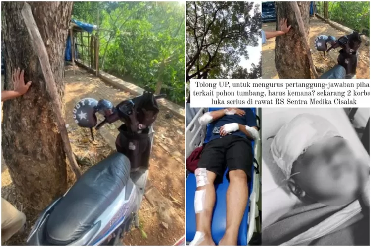Potret Pengendara Motor Tertimpa Pohon Tumbang di Jalan Raya Bogor. (Foto/Instagram @infodepok_id.)