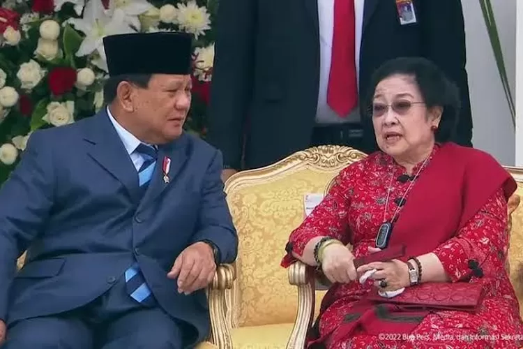 Ketua umum PDI Perjuangan, Megawati Soekarno Putri. (Foto/YouTube Sekretariat Presiden.)