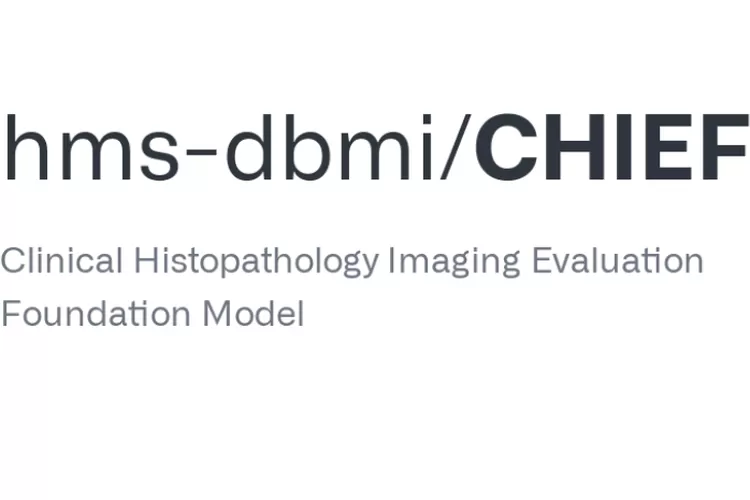 CHIEF (Clinical Histopathology Imaging Evaluation Foundation)