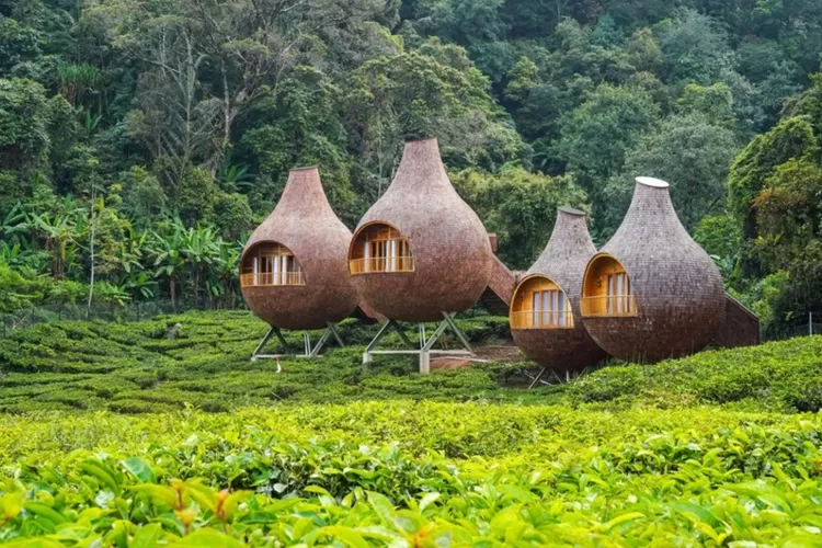 Ilustrasi Tempat Wisata Liburan Akhir Tahun di Bogor. (Foto/Instagram @visitbogor.)