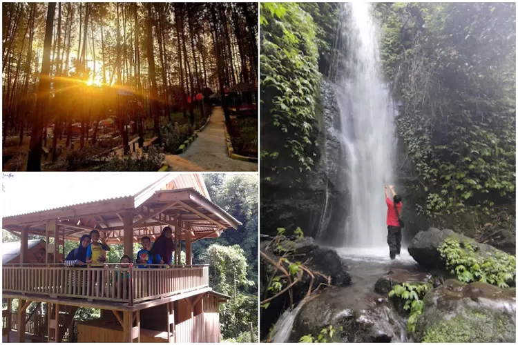 Suasana di air terjun tujuh bidadari Jember. (Foto/Google Maps/hendra budi.)