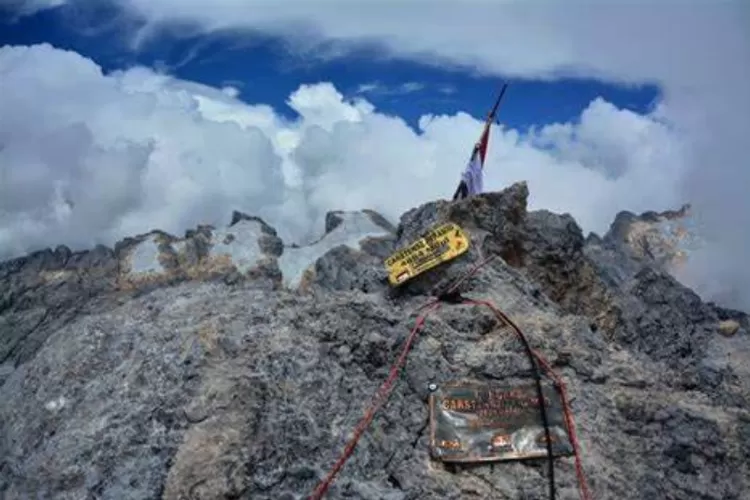Menguak Fakta Puncak Carstensz yang Penuh Tantangan, Jalur Pendakian Tersulit di Indonesia (Dok.RBG/Istimewa)