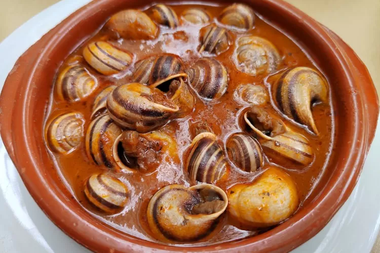 Bolehkah Seorang Muslim Memakan Bekicot? Apakah Hukumnya Halal? Ini Kata Gus Baha (Pexels.com)