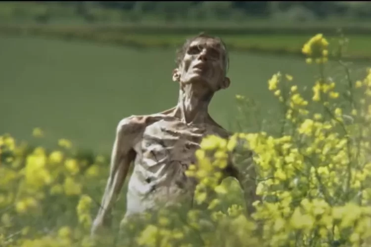 Kembali Setelah 17 Tahun, Sinopsis Cerita Film 28 Years Later yang Penuh dengan Ancaman Mematikan (IMDB)
