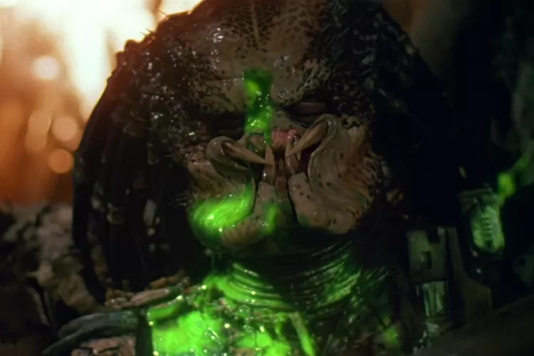 5 Film dari Franchise Predator yang Harus Kamu Tonton Sebelum Predator Killer of Killers (2025) (IMDB)