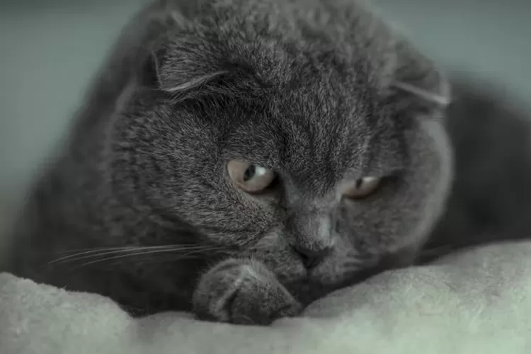 Ternyata Ini 5 Alasan Mengapa Kita Mudah Overthinking dan Merasa Cemas di Malam Hari (Unsplash)