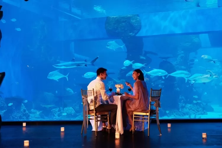 Ilustrasi Ngedate Bareng Pacar di Wisata Aquarium BXsea Bintaro ((IG/bxsea_official))