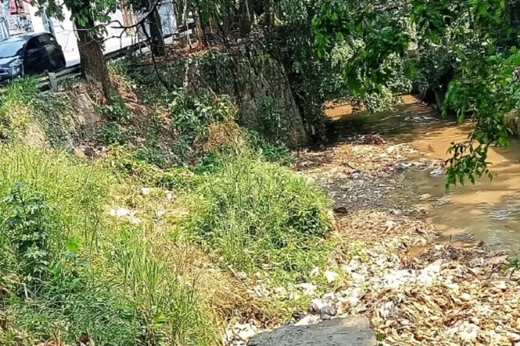 Ratusan kubik sampah di atas bidang Kali Krukut Cabang Barat (KCB), Kelurahan Grogol, Limo Kota Depok. (RADAR DEPOK)