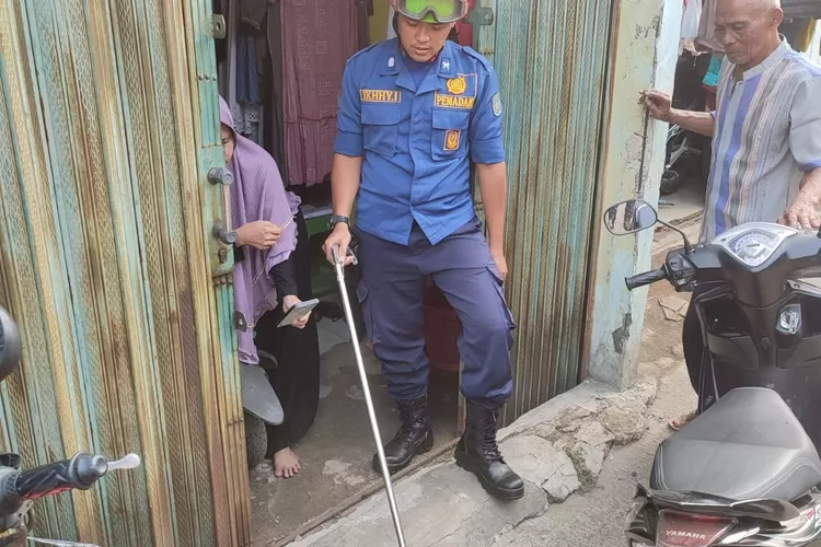 Damkar Kota Depok melakukan evakuasi ular cobra berbisa yang masuk ke pemukiman warga di Kampung Benda Barat RT1/5, Kelurahan Cipayung, Kecamatan Cipayung (Andika Eka )