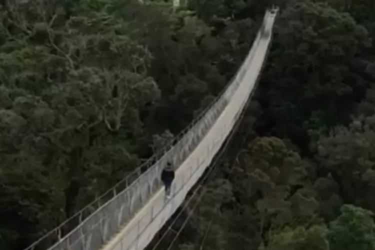 Rengganis Suspension Bridge merupakan jembatan terpanjang di Asia Tenggara yang berlokasi di Bandung, Jawa Barat (Tangkapan layar Instagram @rengganissuspensionbridge)