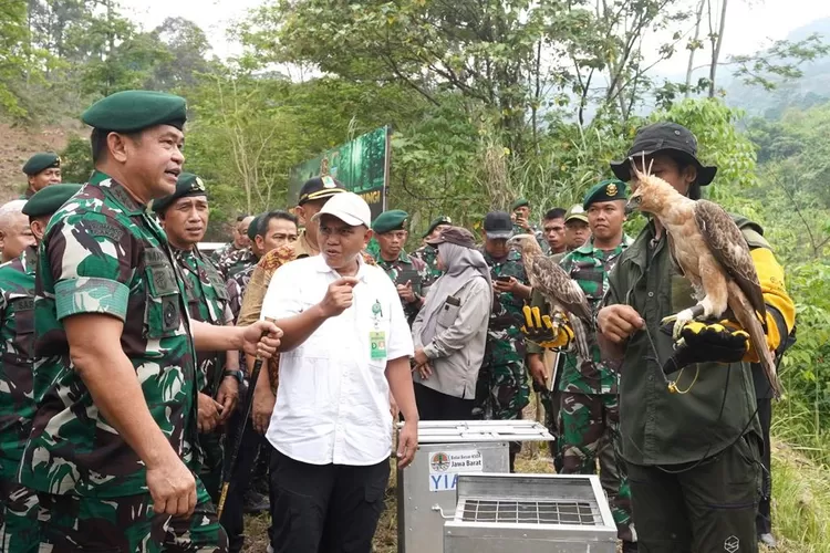 PEDULI : Pangkostrad Letjen TNI Maruli Simanjuntak, M.Sc saat melepas satwa langka di Gunung Sanggabuana. (DOK.PENKOSTRAD)