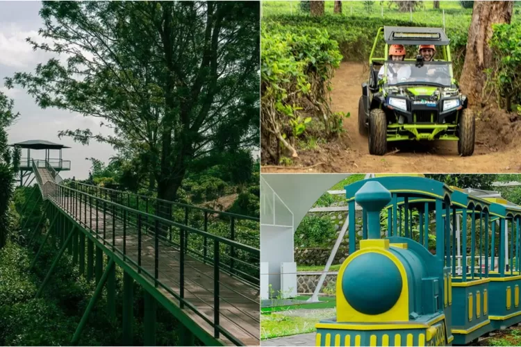 Goalpara Tea Park tempat wisata di sukabumi dengan beragam wahana menarik yang harus di kunjungi (Instagram @goalparateapark)