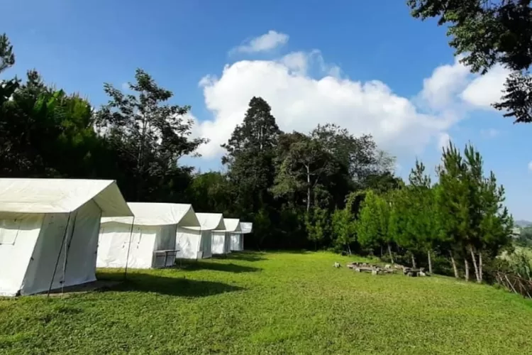  Pine Forest Camp Lembang akan memeriahkan malam tahun baru 2024 dengan acara live music yang menghibur (Instagram @pineforestcamplembang)