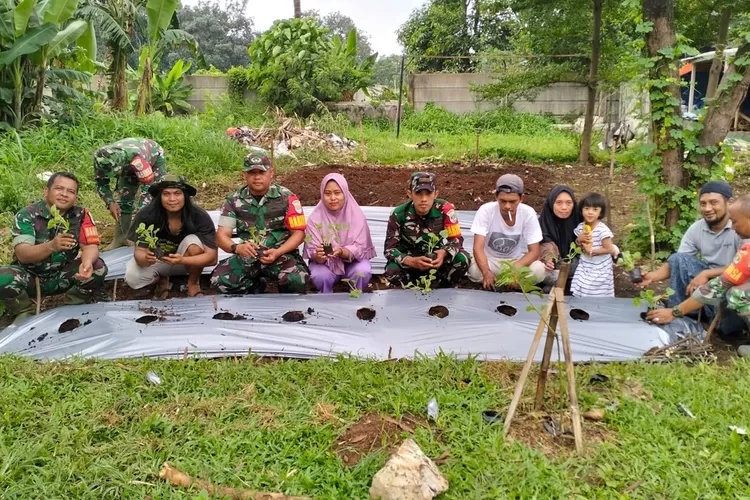 Penanaman ratusan bibit timun suri dan terong ungu di area urban farming Rusunawa Kota Depok. (ANDIKA EKA/RADAR DEPOK)