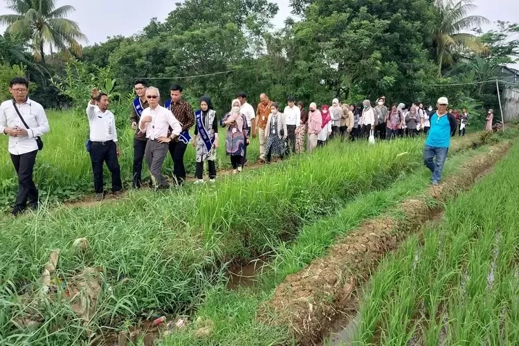 Rombongan Institute For Global Enviromental Strategis (IGES) dan Asia Pasific Network (APN), dan Universitas Indonesia saat melakukan kunjungan ke lahan sawah yang masih tersisa di Kecamatan Tapos, beberapa waktu lalu.  (DOKUMEN RADAR DEPOK)