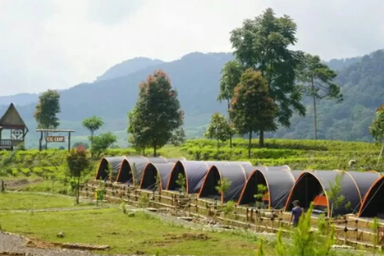 Glamping fasilitas terbaik di The Ciliwung Adventure Camp  cocok untuk healing di liburan akhir pekan (Instagram/@theciliwung)
