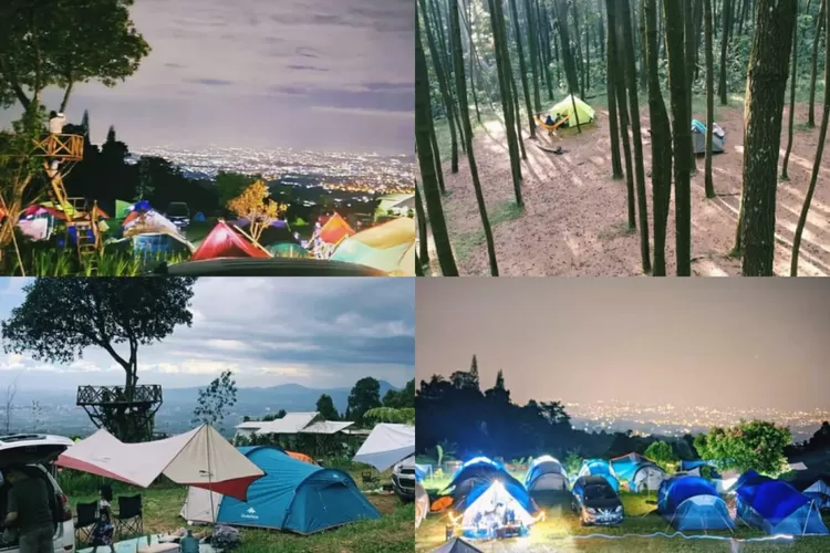 Panorama Pinus Pasiran Tengah bisa jadi rekomendasi tempat wisata liburan akhir pekan  (Instagram/@panorama.pinus.pasirantengah)