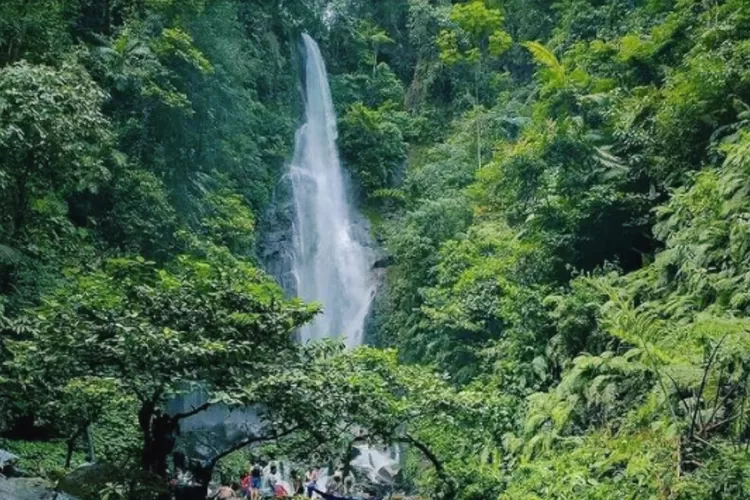 Curug Cikaracak sebagai tempat wisata yang menawarkan surga tersembunyi yang mempesona (Instagram/@curug.cikaracak)